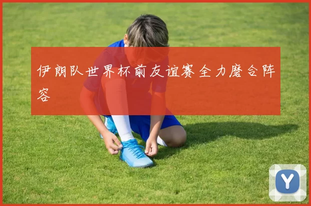伊朗队世界杯前友谊赛全力磨合阵容
