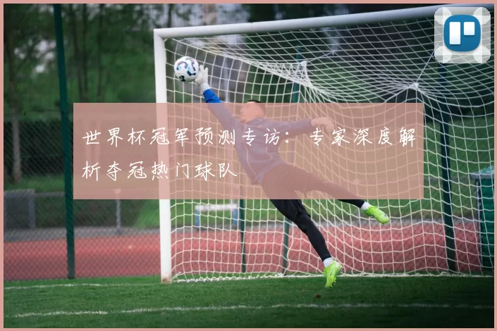 世界杯冠军预测专访：专家深度解析夺冠热门球队