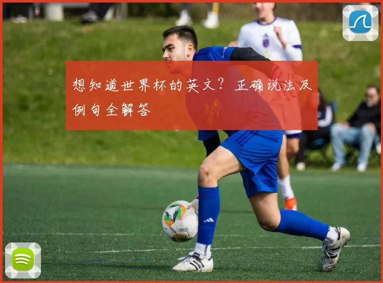 想知道世界杯的英文？正确说法及例句全解答