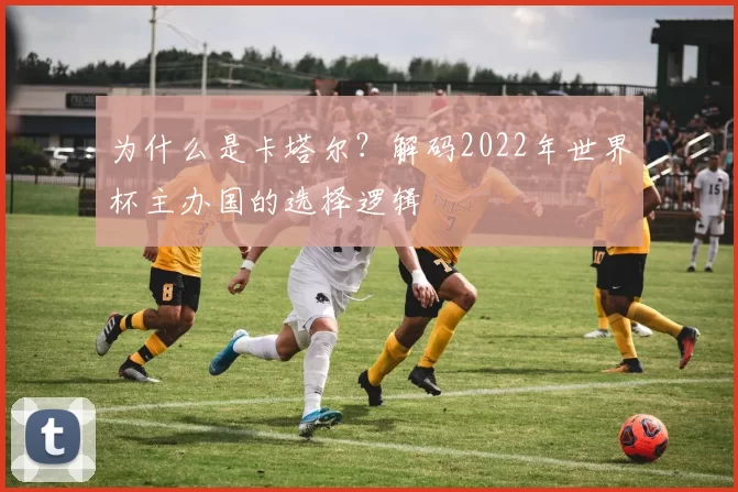 为什么是卡塔尔？解码2022年世界杯主办国的选择逻辑