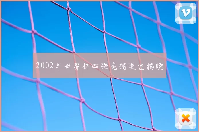 2002年世界杯四强竞猜奖金揭晓