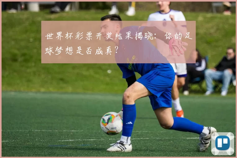 世界杯彩票开奖结果揭晓:你的足球梦想是否成真?