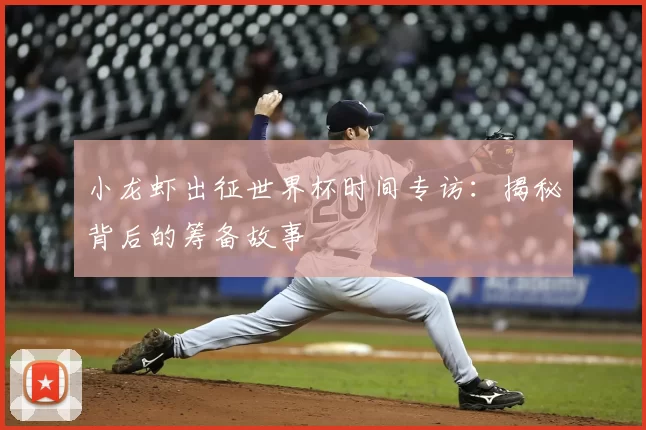 小龙虾出征世界杯时间专访:揭秘背后的筹备故事