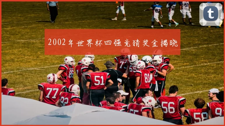 2002年世界杯四强竞猜奖金揭晓
