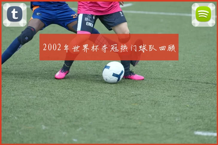 2002年世界杯夺冠热门球队回顾