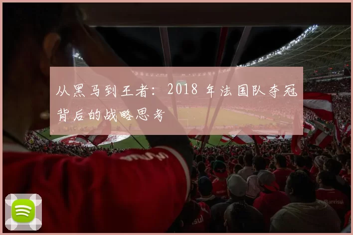 从黑马到王者：2018 年法国队夺冠背后的战略思考