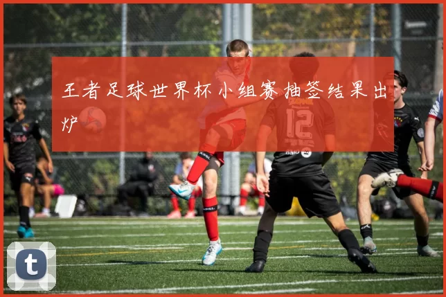 王者足球世界杯小组赛抽签结果出炉