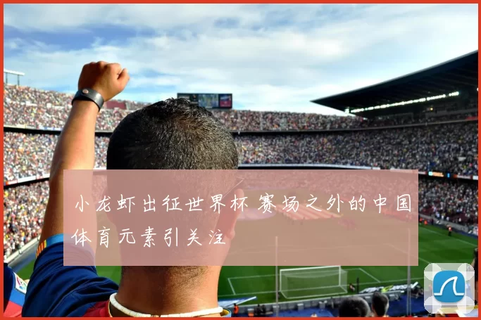 小龙虾出征世界杯 赛场之外的中国体育元素引关注