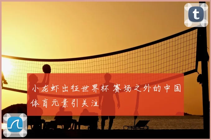 小龙虾出征世界杯 赛场之外的中国体育元素引关注